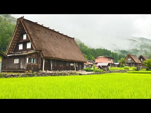 Solo Traveling to a Japanese Historical Village | Shirakawa-go in Heavy Rain