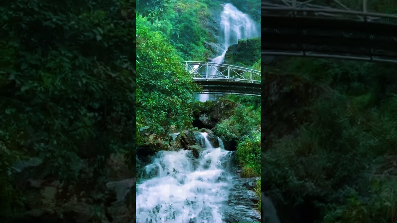 YouTube Short thumbnail