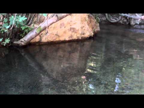 Sasso Pisano - Agriterme.MOV