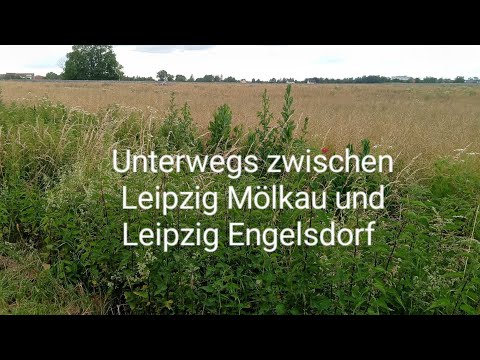 Unterwegs zwischen Leipzig Mölkau und Leipzig Engelsdorf