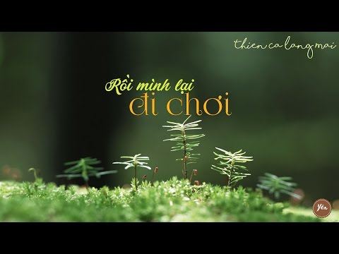 Rồi mình lại đi chơi