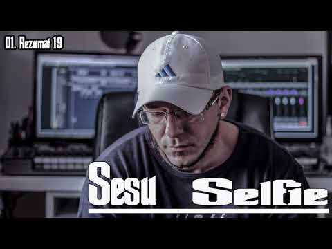 01. Sesu - Rezumat 19