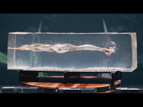 Gorilla Ammunition 8.6 Blackout 342gr Subsonic Expanding