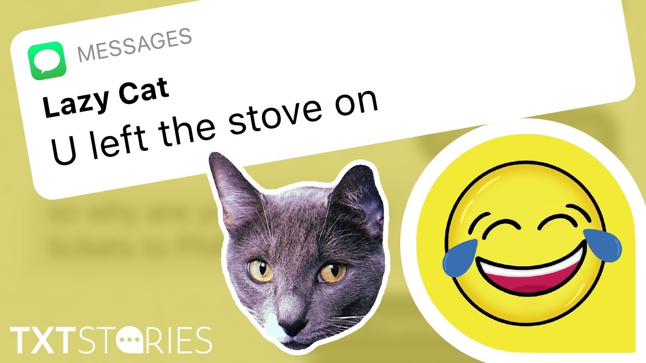 Texting Your CAT | lazy cat episode 1