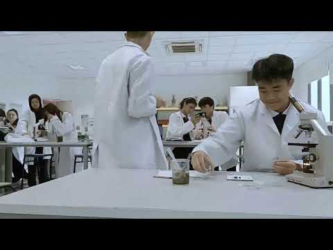 International School Brunei