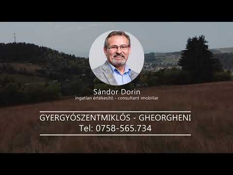 Teren in Gheorgheni postata Ciser — Video
