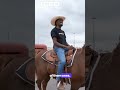 D Aydrian Harding Rides A Horse Inside Walmart