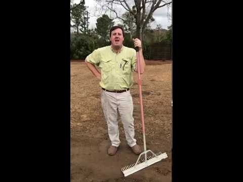 download lagu mp3 mp4 Woerner Com, download mp3 Woerner Com free downloadn, video klip Woerner Com