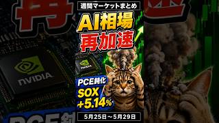 【週間マーケットまとめ】AI相場再加速！日経6万6000円台回復【5月25日〜5月29日】