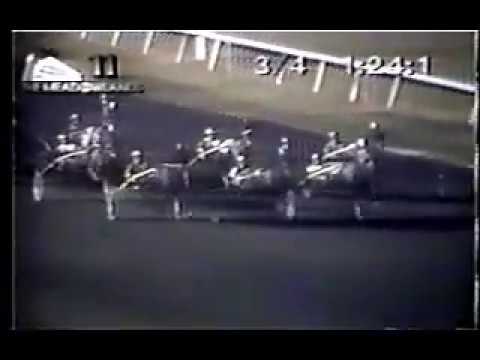 1994 Meadowlands DARTH RAIDER Richard Silverman