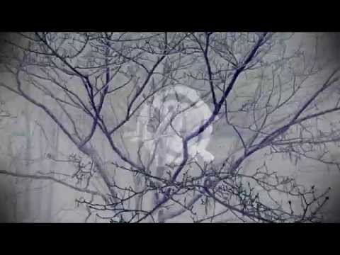 Kid Robotik - NOTB (DUB)