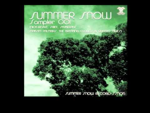 Skykeeper - Tornado (Maksim Palmaxs Remix)