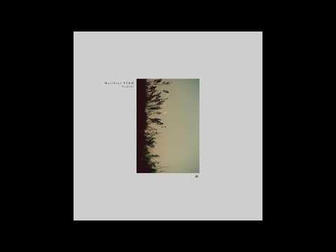 Matthias TORM - Event Horizon