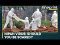 Nipah Virus: Five reported cases, two deaths | WION Fineprint