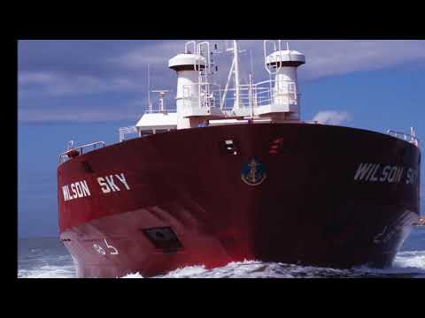 Porto de Aveiro por Paulo Magalhães (5)