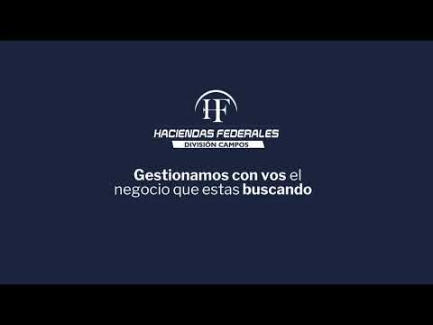 Campo en Venta en Perugorría, Corrientes | 2.250 ha agrícolas, ganaderas y arroceras
