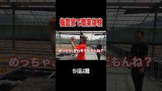 梅干しが出来るまでの過程を体験したら想像以上の過酷さだった、、、
