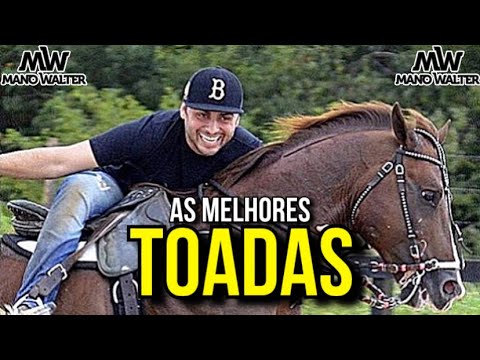 CD SÓ TOADAS - Mano Walter | Seleção de toadas com Mano Walter