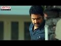 Rabhasa Movie Theatrical Trailer Jr NTR Samantha Pranitha