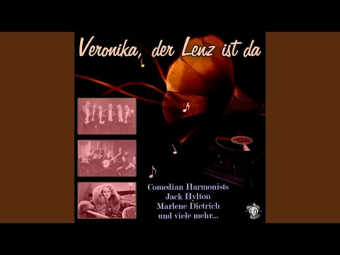 Ich hab’ kein Auto, ich hab’ kein Rittergut