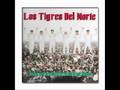 Los Tigres Del Norte Padres Tristes