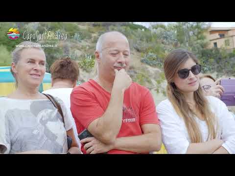 Nascita tartarughe marine a Capo Sant'Andrea - Isola d'Elba