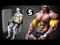 Best Biceps Workout For Bigger Arms Complete Biceps Training Guide