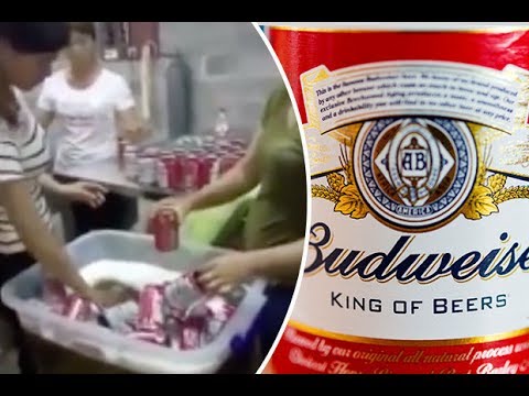 REVEALED: The fake Budweiser factory pumping out gallons of dodgy beer