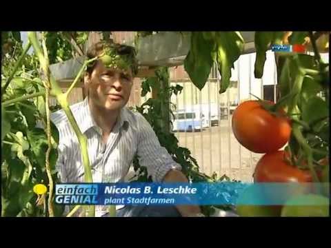Biokost aus der Stadtfarm - MDR Einfach genial - 25.09.2012
