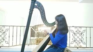 林俊傑 JJ Lin - 偉大的渺小 Little Big Us ( Harp Cover )