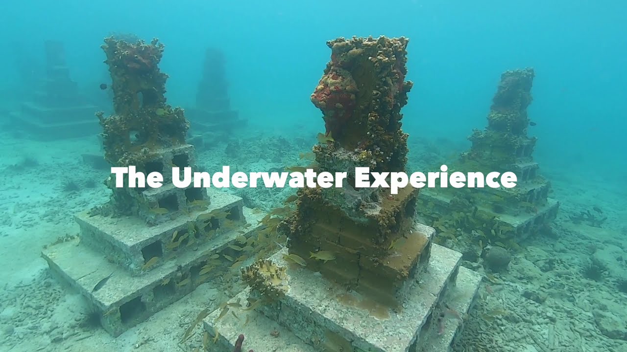 Grenada's Artificial Reef Project by Dive Grenada December 2020 Video facade placeholder