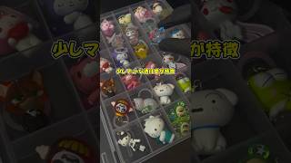 めじるしアクセサリーを、みんなが欲しい物だからって理由で買ってる人多くね？ #ガチャガチャ #ガチャ #カプセルトイ #めじるしアクセサリー
