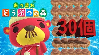 【あつ森】ラコスケに30日分のホタテ渡して調べてみた！【あつまれどうぶつの森実況　海の幸】