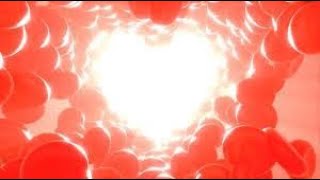 The 5 Rare Starseed Blood Types and Their Meanings