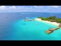 Oceana - David Benoit