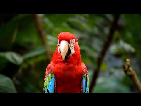 INNY x TUWIM feat. KATIE - JEDEN ŚWIAT (PROD: QLA )