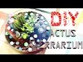 DIY Cactus Terrarium | SWEET HOME 