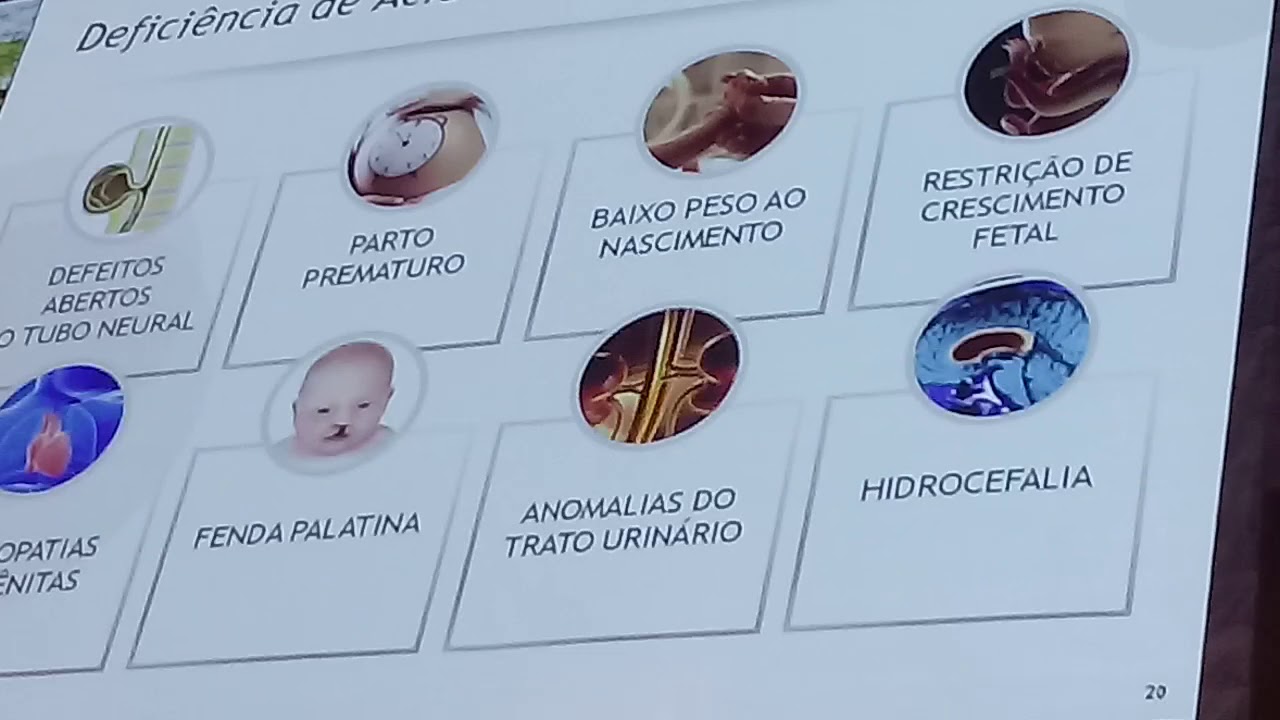 Renata Wanderley Nogueira-81