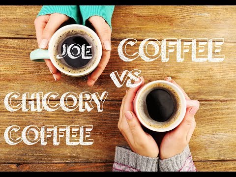 Why is Chicory Root Better than Coffee?