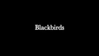 Gretchen Peters - Blackbirds promo