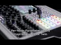 Waldorf Synthesizer Iridium Desktop MK2