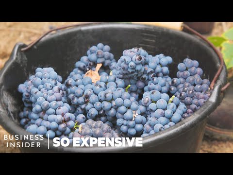 Why Champagne Is So Expensive | So Expensive