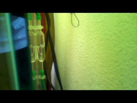 Watch Video on YouTube