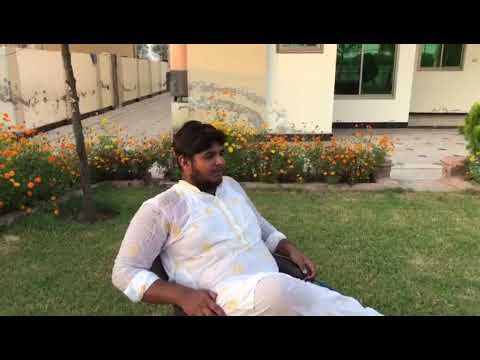 Malik Sharjeel ka interview and my best  gsd long coat  puppies  Bruno and bella
