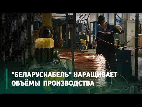"Беларускабель" наращивает объёмы производства видео