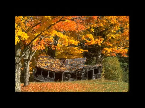 Pärgament - Ämmamoori maja (sõnadega)