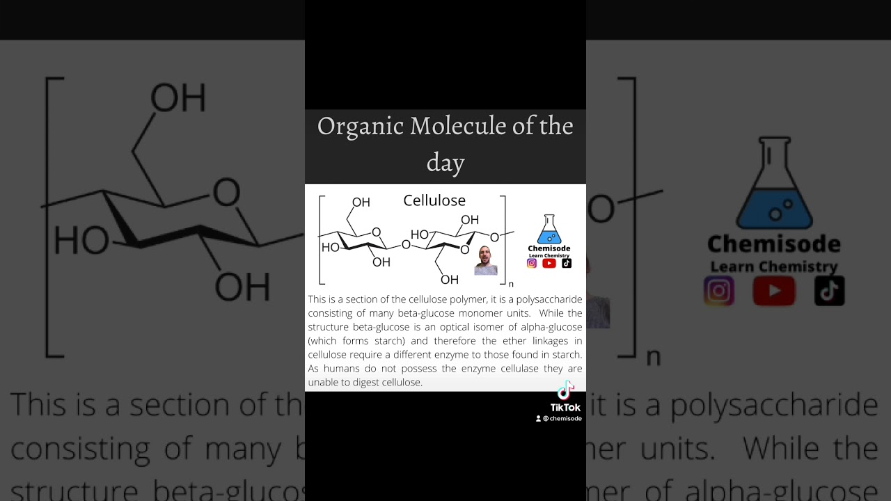 Molecule of the day - Cellulose