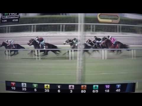 NOT SURPRISING (G STAKES) $100,000 2017 - ATOMIC ACTION !!!