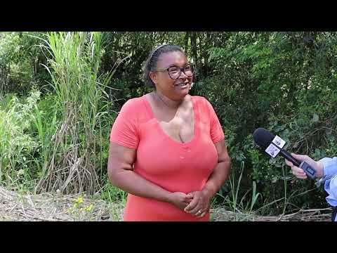 Família quilombola de Piratini acessa crédito do Pronaf e inspira produtores - Rio Grande Rural