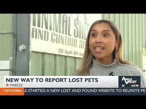 Tri Cities Craigslist Pets